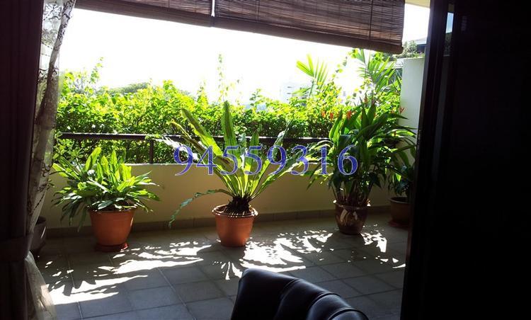The Arcadia (D11), Condominium #138962532